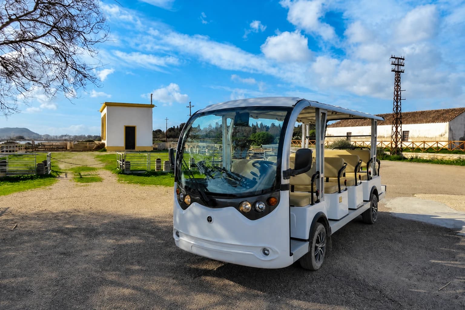 Molentargius park by electric minibus or boat — Excursions