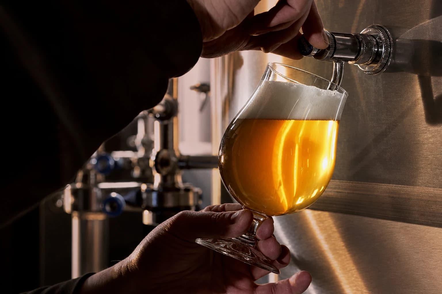 Barley brewery visit and Italian Grape Ale tasting — Experiences